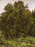 ₴ Картина пейзаж известного художника от 146 грн: На опушке леса