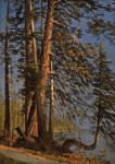₴ Картина пейзаж известного художника от 215 грн.: Парк в Ванкувере