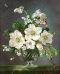 ₴ Картина натюрморт известного художника от 245 грн.: Рождественские розы и подснежники в стеклянной вазе