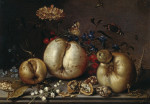 ₴ Репродукция картины натюрморт от 223 грн.: Натюрморт с фруктами и ракушками