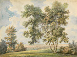 ₴ Репродукция пейзаж от 241 грн.: Пейзаж с деревьями и овцам