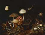 ₴ Репродукция натюрморт от 247 грн.: Рептилии, грибы и бабочки