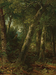 ₴ Репродукція краєвид від 196 грн.: Ліс у ранковому світлі