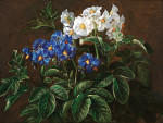₴ Репродукція натюрморт від 355 грн.: Білі та сині квіти
