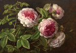₴ Репродукція натюрморт від 328 грн.: Троянди