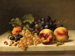 ₴ Репродукция натюрморт от 346 грн.: Натюрморт со сливами, виноградом и лесными орехами