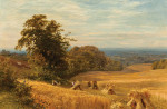 ₴ Репродукция пейзаж от 338 грн.: Нива в Абингдон-Беркс
