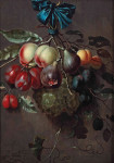 ₴ Репродукция натюрморт от 349 грн.: Персики, сливы, инжир, абрикосы, финики и виноград, свисающие с голубой ленты, привязанной к крючку