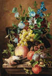 ₴ Репродукция натюрморт от 287 грн.: Натюрморт с фруктами, цветами и зябликом