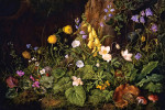 ₴ Репродукція натюрморт від 276 грн.: Польові квіти та гриби в лісовій місцевості