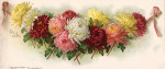 ₴ Репродукция цветочный натюрморт от 337 грн.: Гроздь красоты