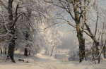 ₴ Репродукция пейзаж от 238 грн.: Лес зимой