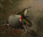 ₴ Репродукция натюрморт от 356 грн.: Рубиновогорлый колибри возле гнезда