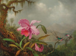 ₴ Репродукция цветочный натюрморт от 299 грн.: Орхидеи и колибри