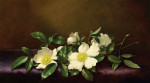 ₴ Репродукция цветочный натюрморт от 356 грн.: Розы чероки на фиолетовой ткани