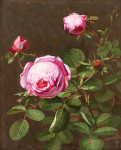 ₴ Репродукция цветочный натюрморт "Розовые розы"