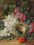 ₴ Репродукция цветочный натюрморт "Цветы и птичье гнездо на мховом наклоне"