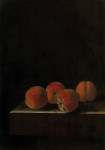 ₴ Репродукция натюрморт известного художника "Четыре абрикоса на каменном постаменте"