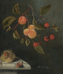 ₴ Репродукция натюрморт известного художника "Натюрморт с бабочкой, абрикосами, вишнями и каштаном"