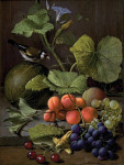 ₴ Репродукция натюрморт "Натюрморт с фруктами и щеглом"