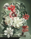 ₴ Репродукция цветочный натюрморт "Белое и красное"