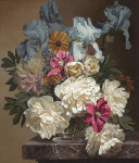 ₴ Репродукция натюрморт "Белые пионы и голубой ирис"