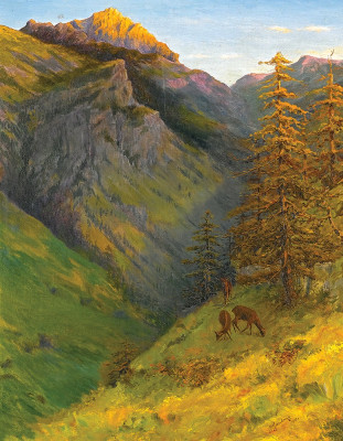 ₴ Купить картину пейзаж художника от 210 грн: Аустенборг из долины Мальбуна