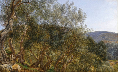 ₴ Репродукція краєвид від 199 грн.: Оливковые деревья возле Тиволи