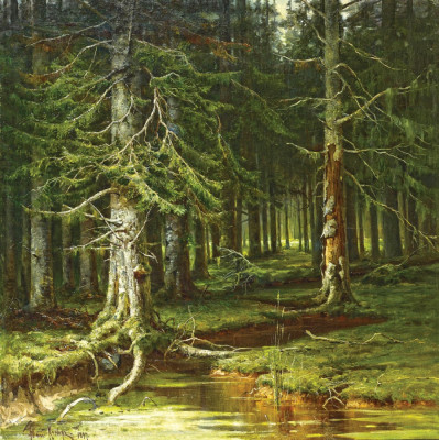 ₴ Репродукция пейзаж от 307 грн.: Девственный лес