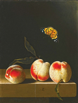 ₴ Репродукція натюрморт від 252 грн.: Три персики на кам'яному виступі, метелик адмірал