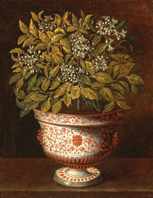 ₴ Репродукція натюрморт від 247 грн.: Теракотова ваза з квітучим апельсиновим кущем