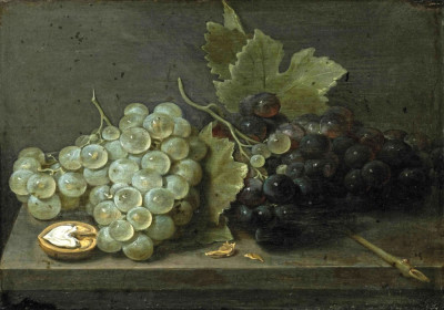 ₴ Репродукція натюрморт від 223 грн.: Виноград та волоський горіх на кам'яному виступі
