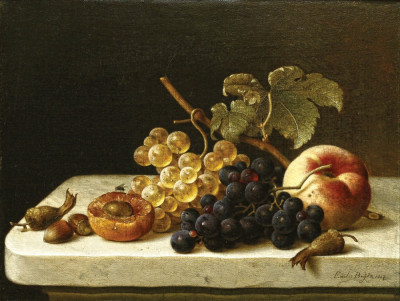 ₴ Репродукція натюрморт від 317 грн.: Виноград, жолуді, абрикос та персик на виступі з мухою
