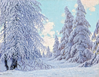 Пейзаж: Зимний день в заснеженном лесу