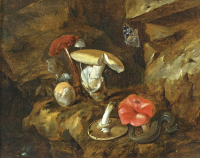 ₴ Репродукція натюрморт від 253 грн.: Лісова підстилка з грибами, метеликами та змією