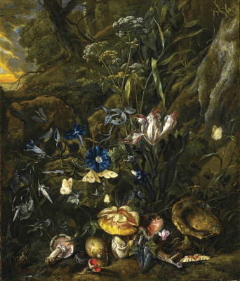 ₴ Репродукція натюрморт від 299 грн.: Лісова підстилка з квітами, грибами, метеликами, змією, жабою та бабкою