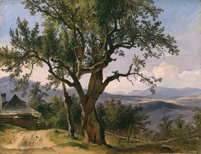 Купите картину художника от 208 грн: Старое дерево