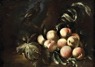 ₴ Репродукція натюрморт від 223 грн.: Персики та птах