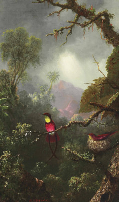 ₴ Репродукция натюрморт от 231 грн.: Гнездящиеся колибри в бразильском пейзаже