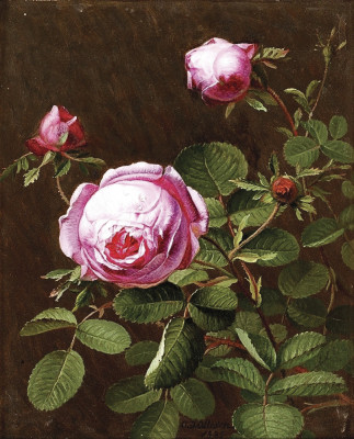₴ Репродукція натюрморт від 312 грн.: Рожеві троянди