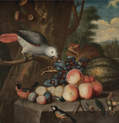 ₴ Репродукція натюрморт від 255 грн.: Папуга та інші птахи, виноград, сливи, кавун, персики та равлик на кам'яному виступі