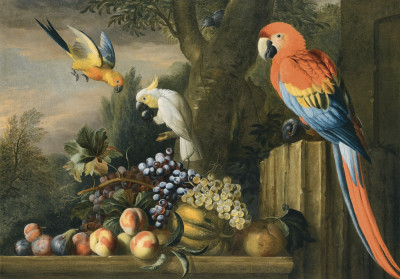 ₴ Репродукция натюрморт от 223 грн.: Фрукты и попугаи в пейзаже