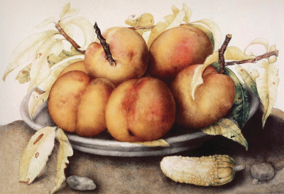 ₴ Купить натюрморт художника от 170 грн.: Персики и огурец