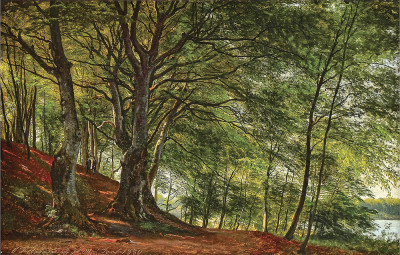 ₴ Репродукція краєвид від 211 грн: Лісова сцена з Соро, Данія