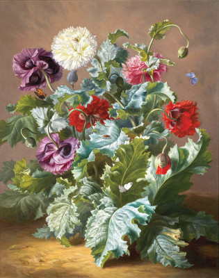 ₴ Репродукція натюрморт від 242 грн.: Квіткова композиція з маками та метеликами