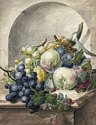 ₴ Репродукція натюрморт від 252 грн.: Сливи, персики, виноград та ожина у ніші на мармуровому столі