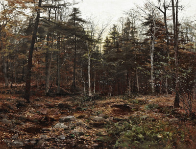 ₴ Репродукція краєвид від 241 грн.: Лісова сцена