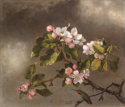 ₴ Репродукція квітковий натюрморт від 356 грн.: Колібрі та яблуневий цвіт