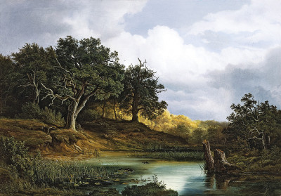 ₴ Картина пейзаж художника від 175 грн.: Дуби біля води