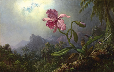 ₴ Картина натюрморт известного художника от 174 грн.: Орхидея с двумя колибри